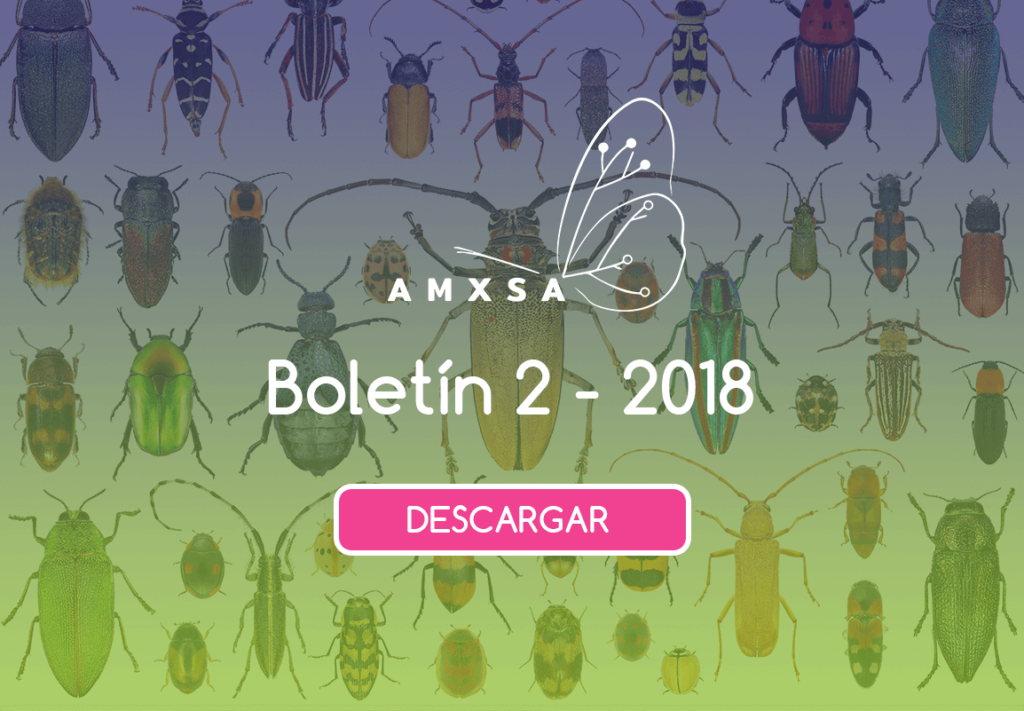 AMXSA - Asociación Mexicana de Sistemática de Artrópodos